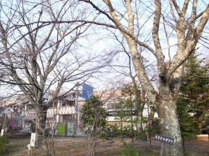 Exif_JPEG_PICTURE