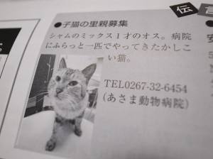 Exif_JPEG_PICTURE